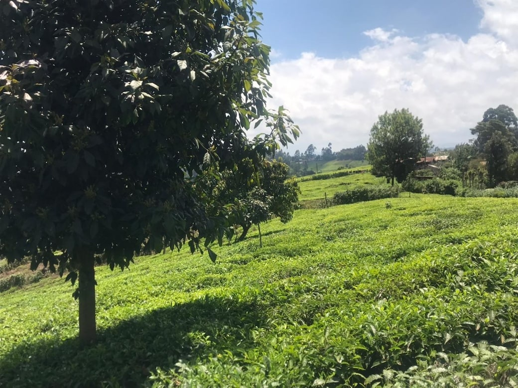 Githima land clearing